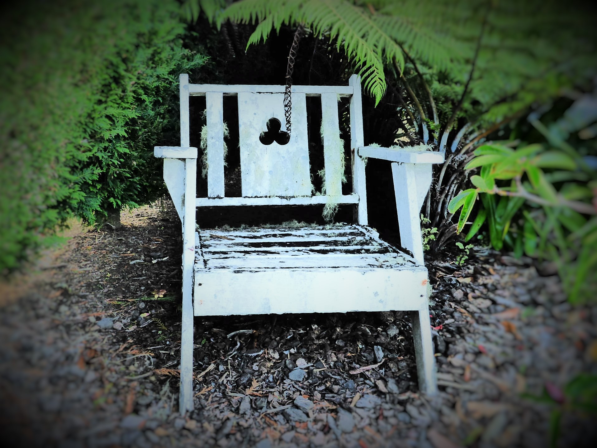 Little chair -  by Lewis & Co. Photography