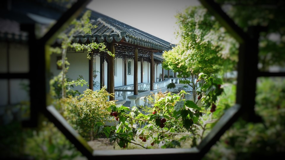 Through the window - Chinese Gardens, Dunedin. New Zealand by Lewis & Co. Photography