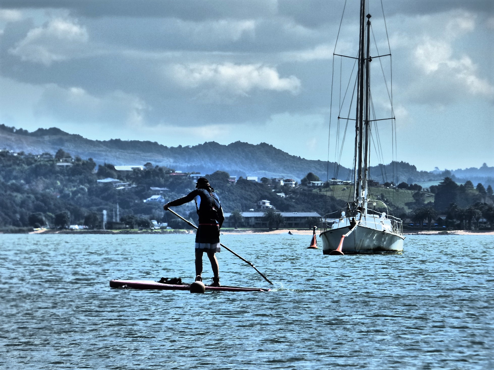 Paddleboarder -  by Lewis & Co. Photography