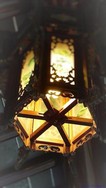 Chinese Lantern - 