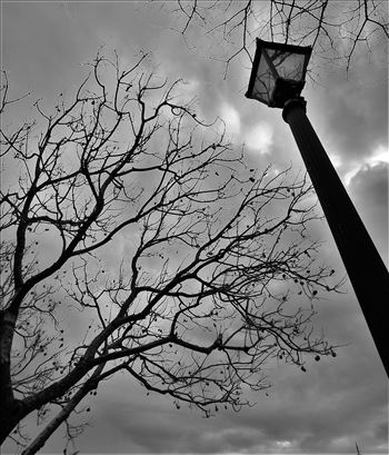 Old Lamp post - 