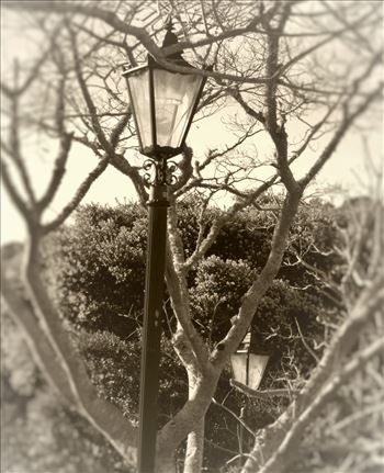 Lamp posts - 